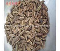林木萬(wàn)象 走進(jìn)綠色大陸的產(chǎn)品庫(kù)探秘